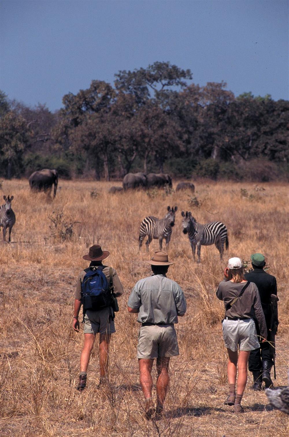 Robin Pope Walking Safaris