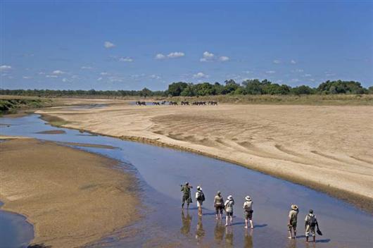 Zebra Plains