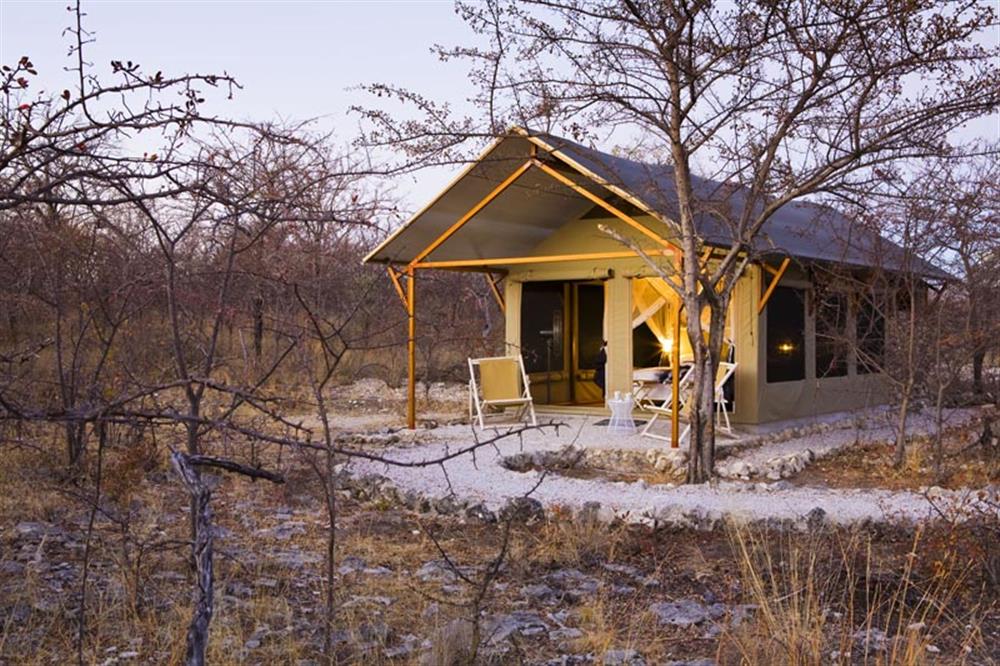 Mushara Bush Camp