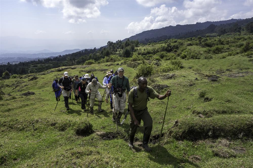 Bisate Lodge