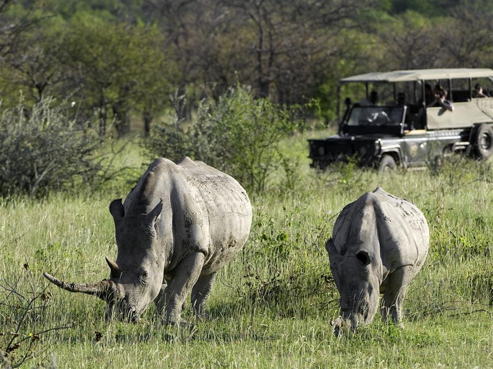 Ongava Lodge