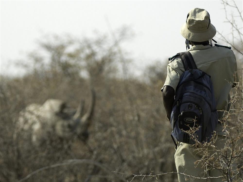 Ongava Tented Camp