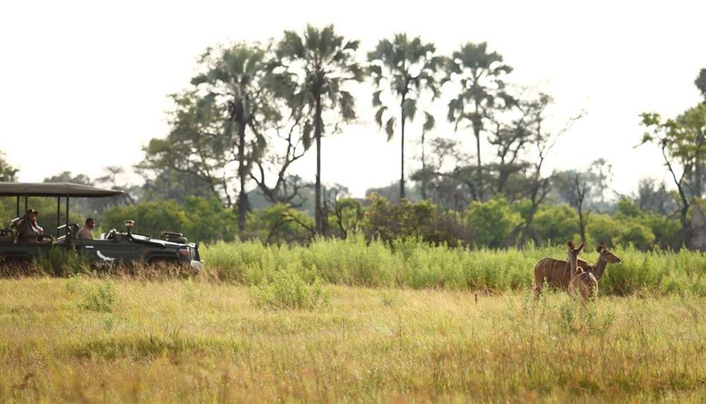 Nxabega Okavango Tented Camp