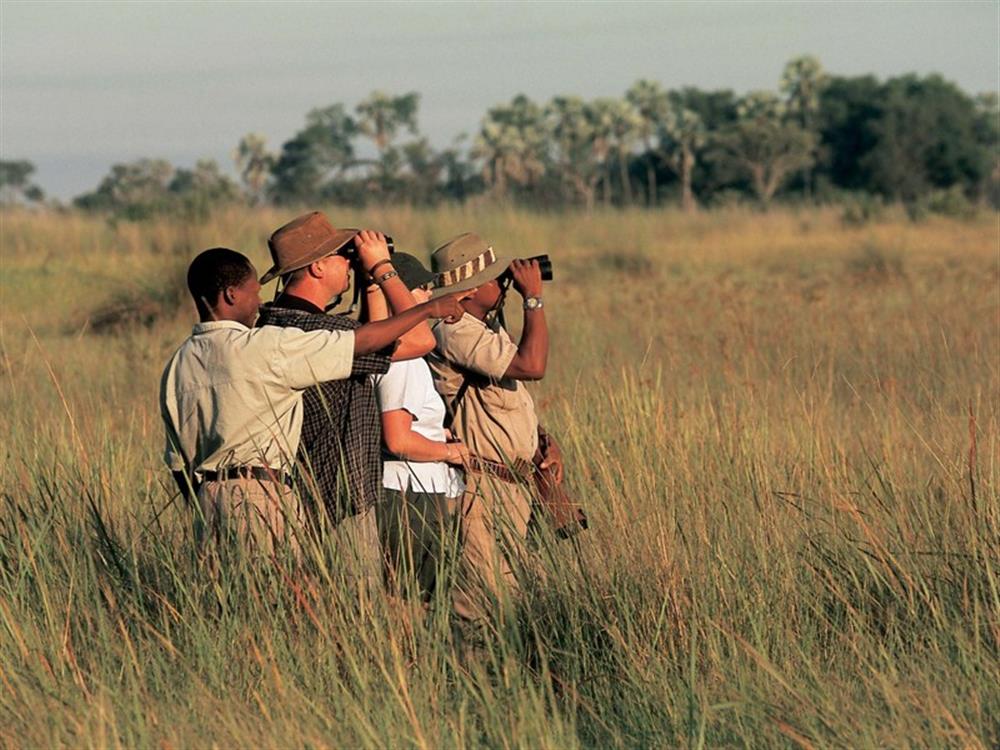 Chitabe Camp (Chitabe Concession)