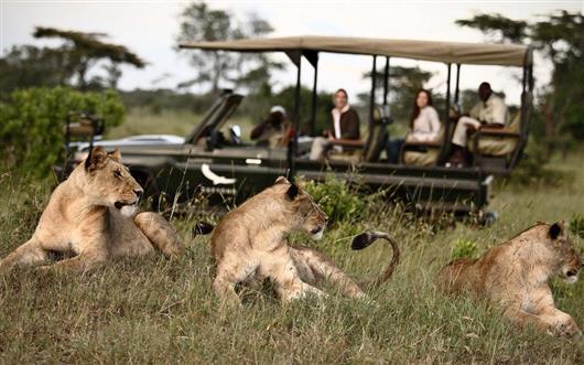 Xaranna Okavango Delta Camp