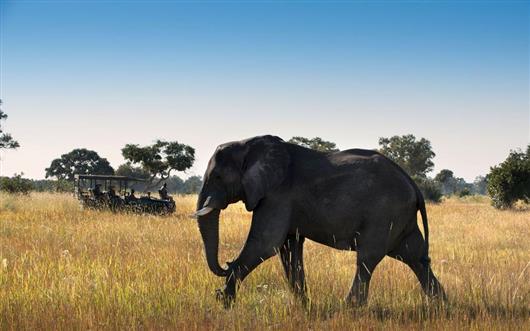 Xaranna Okavango Delta Camp