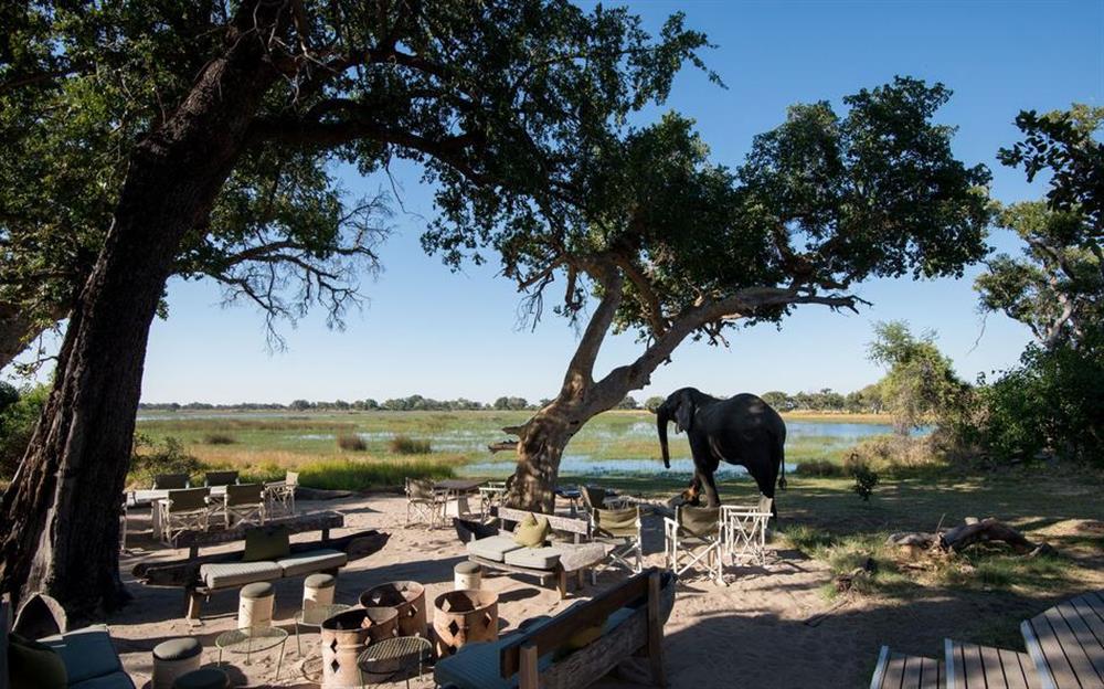 Xaranna Okavango Delta Camp