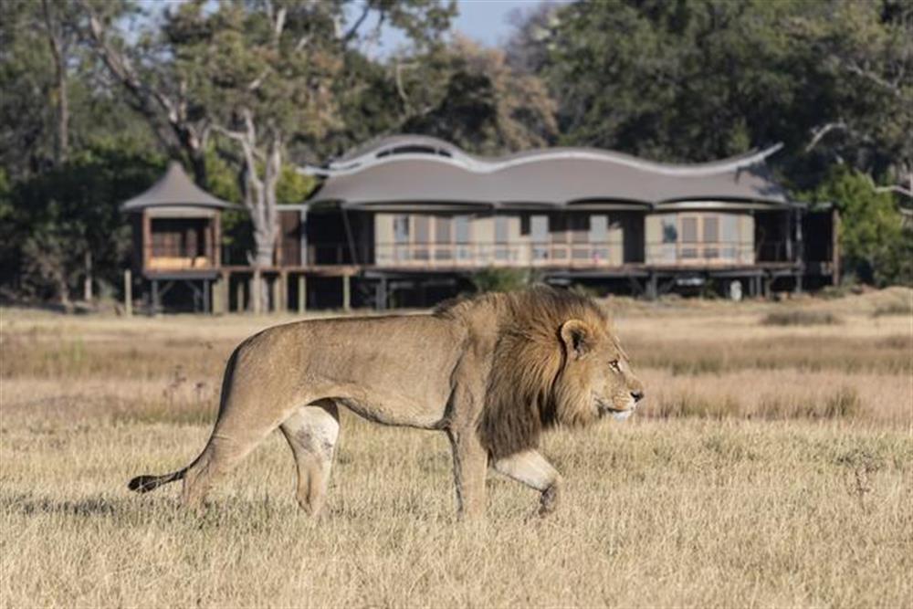 Xigera Safari Lodge 