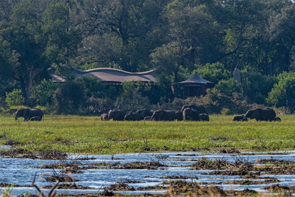 Xigera Safari Lodge 