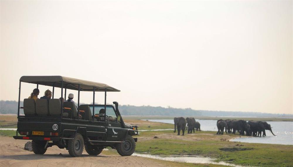 Chobe Under Canvas