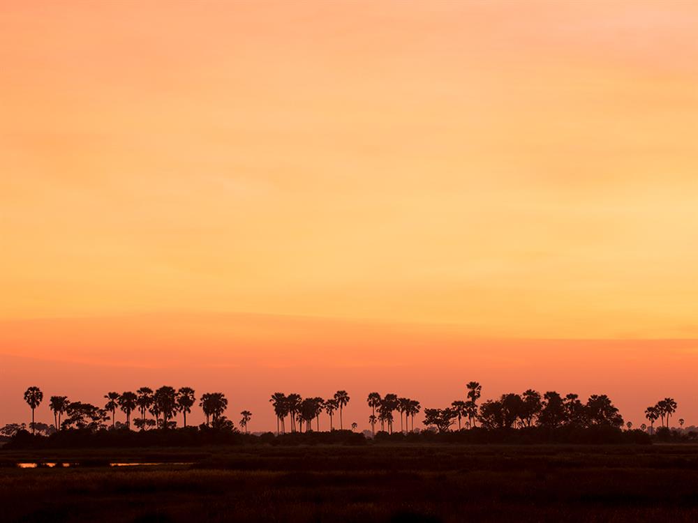 Duba Plains Camp