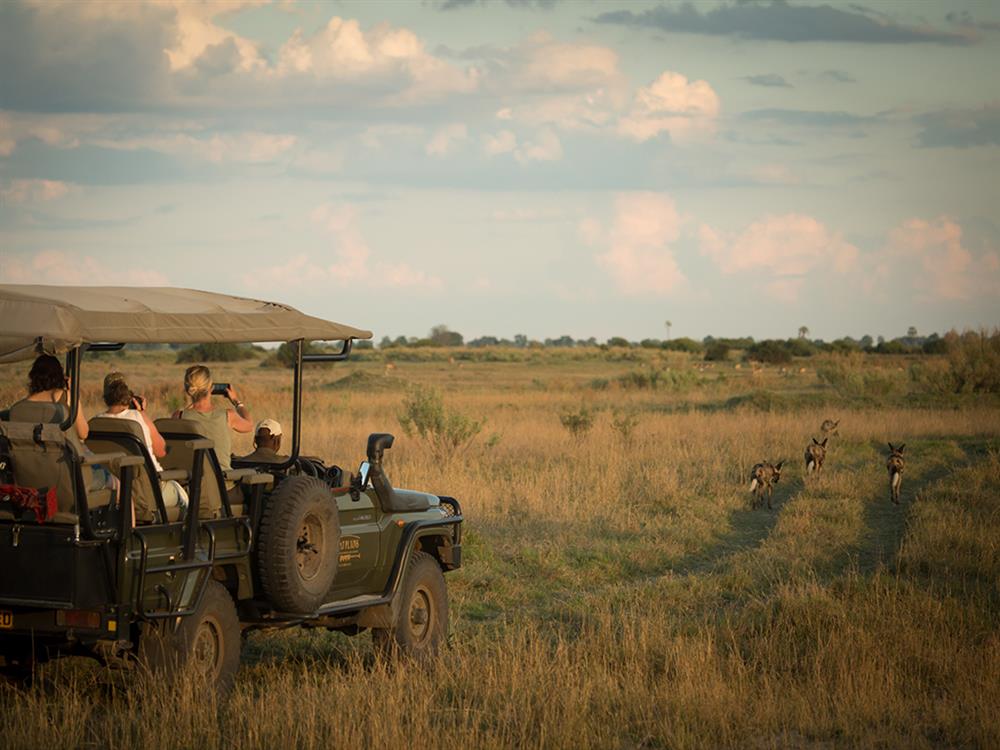 Duba Plains Camp