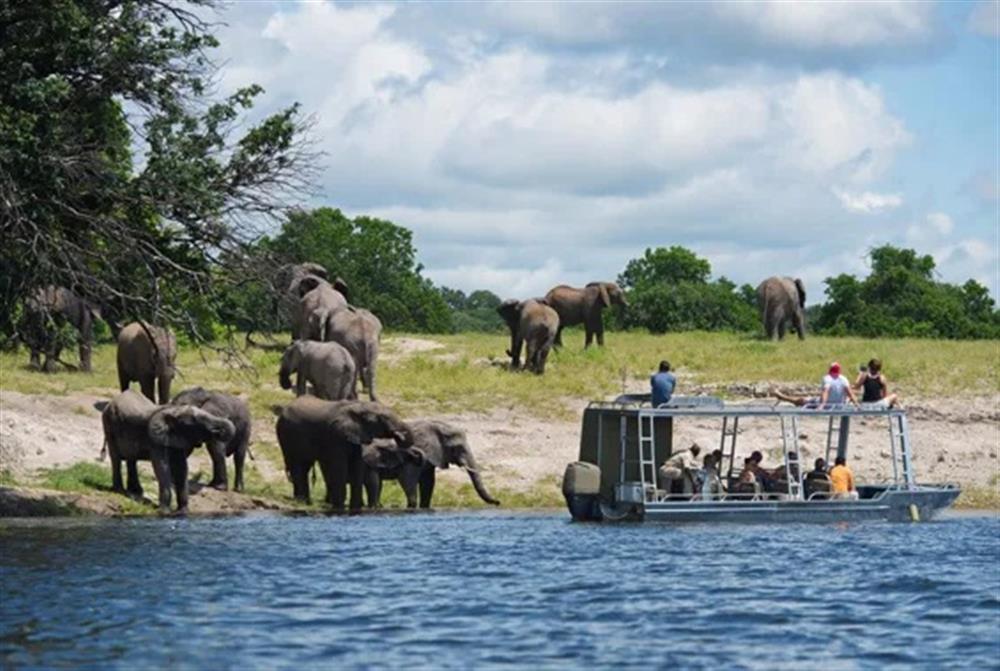 Zambezi Queen