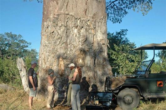 Muchenje Safari Lodge