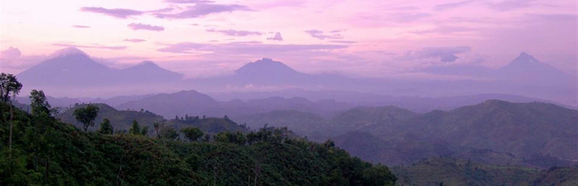 Clouds Mountain Gorilla Lodge