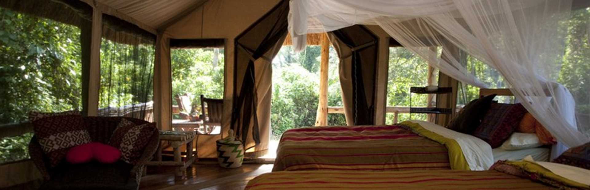 Kibale Primate Lodge