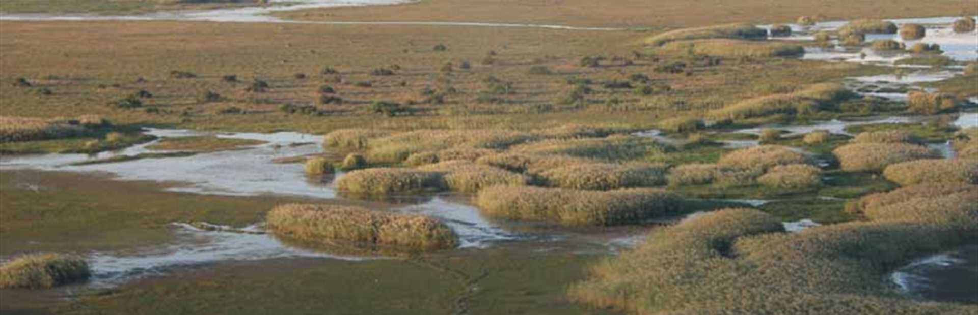 Shoebill Island Camp