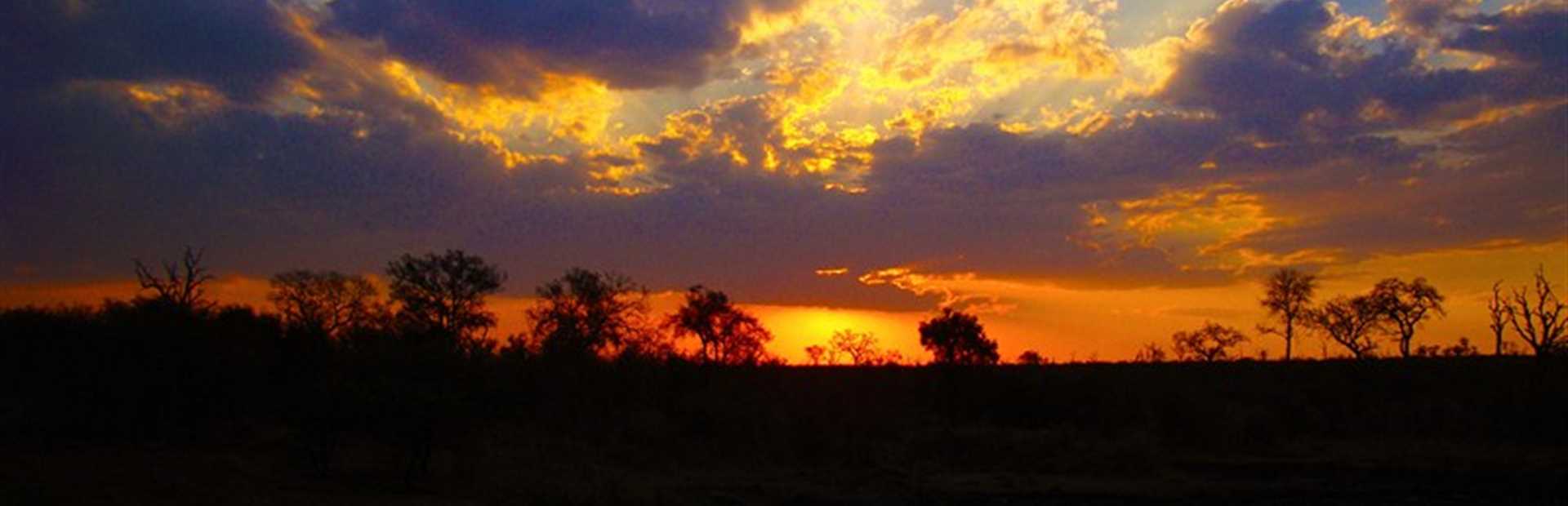 Londolozi Pioneer Camp