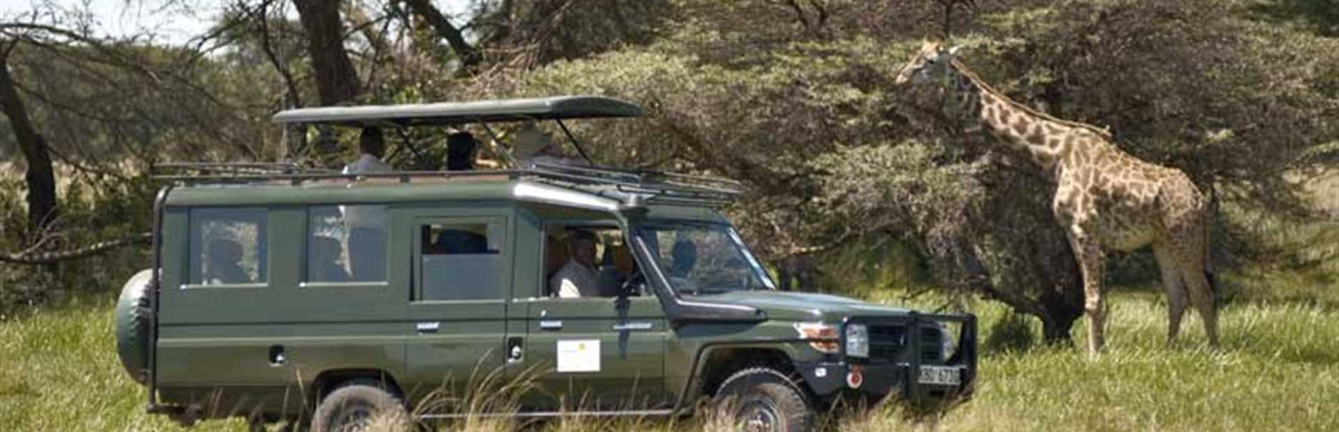 Ngerende Island Lodge