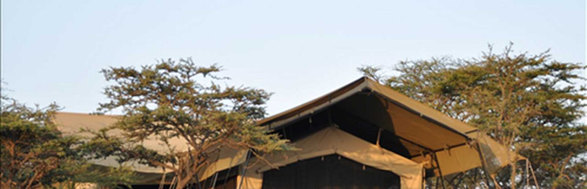 Rekero Naboisho Camp