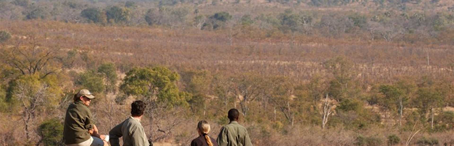 Luwi Bush Camp