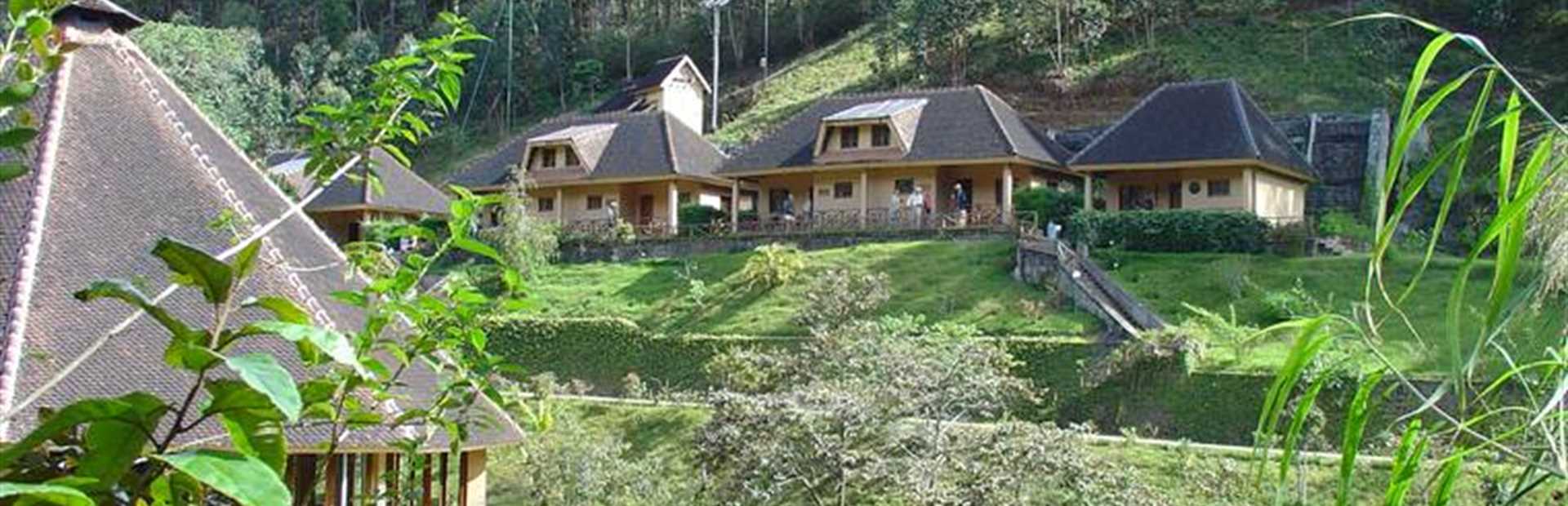 Vakona Forest Lodge