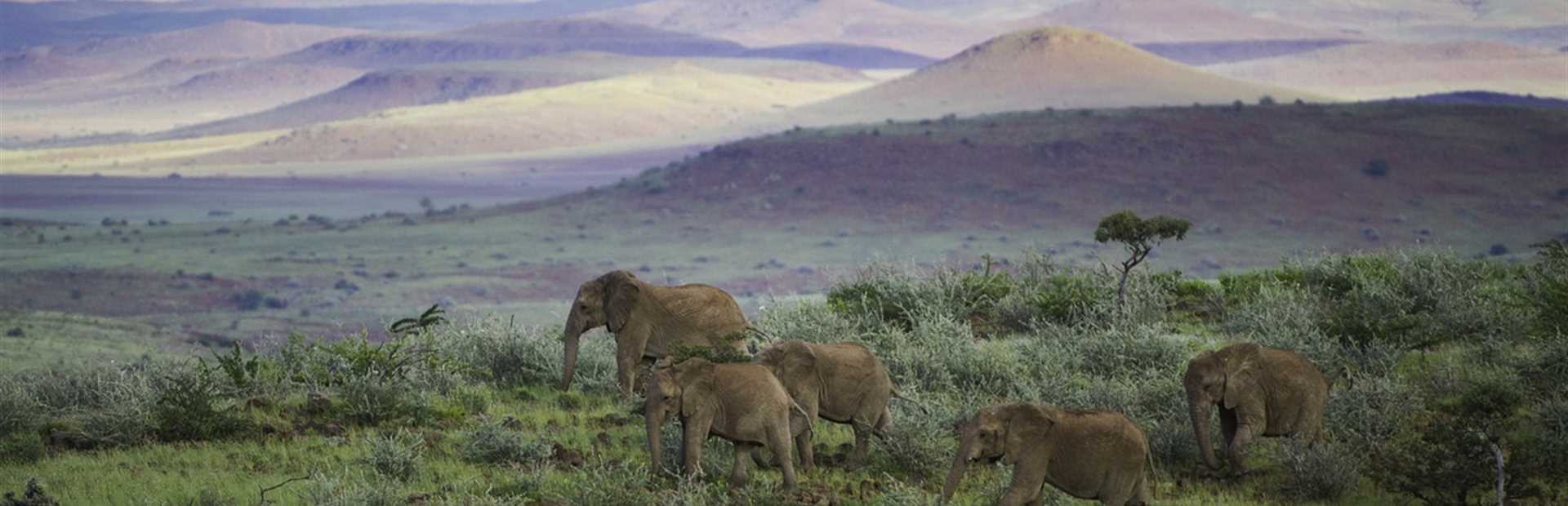 Kunene & Damaraland