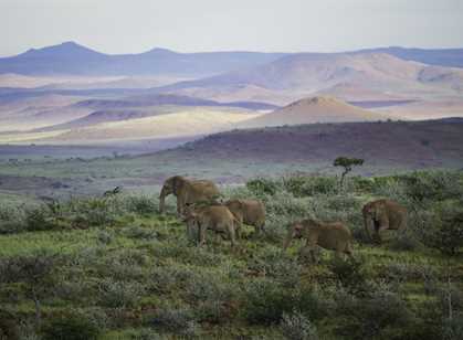 Kunene & Damaraland