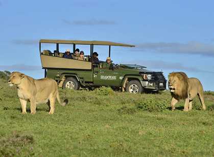 Shamwari Game Reserve