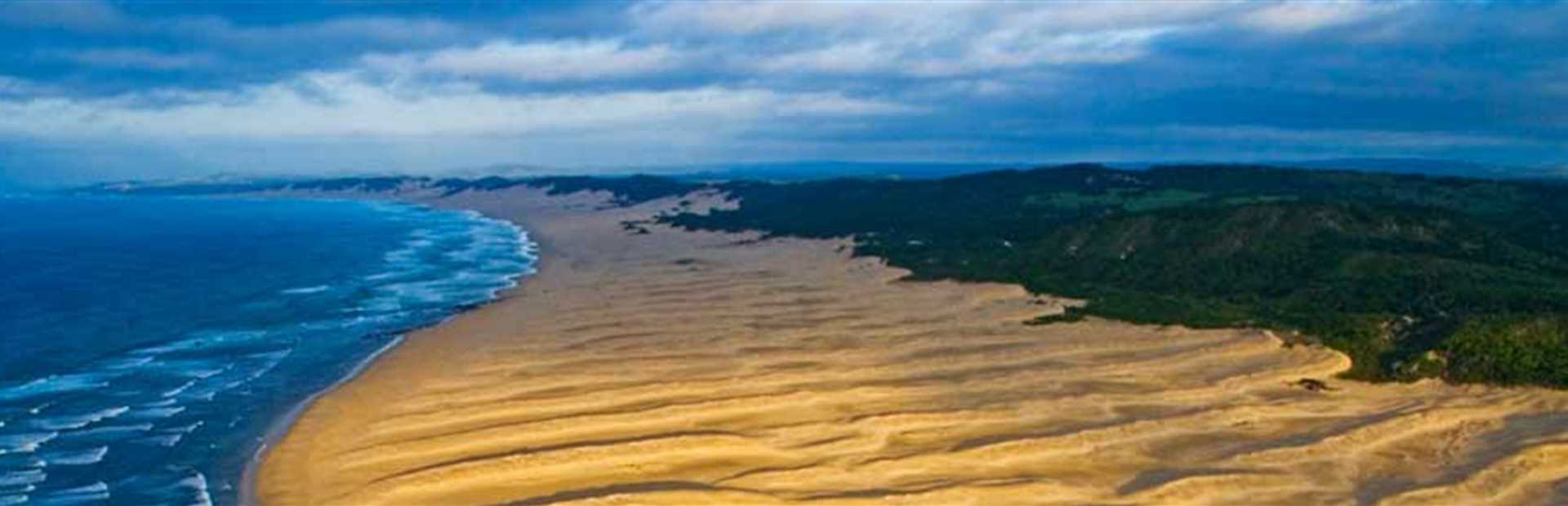 The Wild Coast