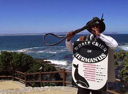 Hermanus & The Overberg