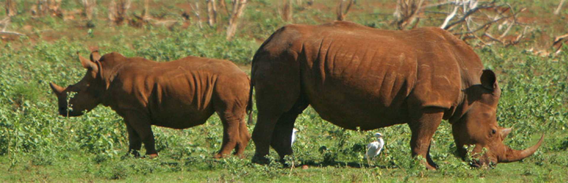 Pongola Game Reserve