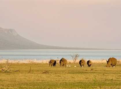 Pongola Game Reserve