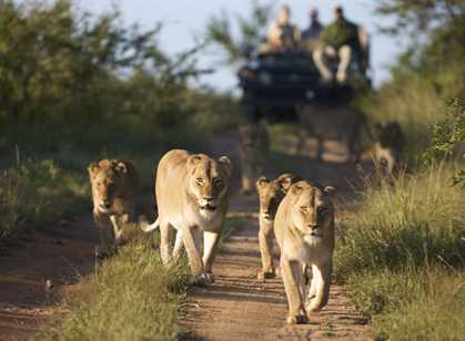 Kapama Game Reserve