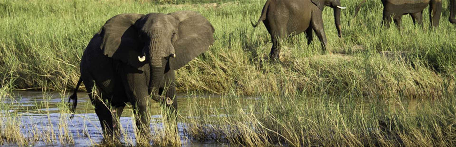 Northern Kruger National Park