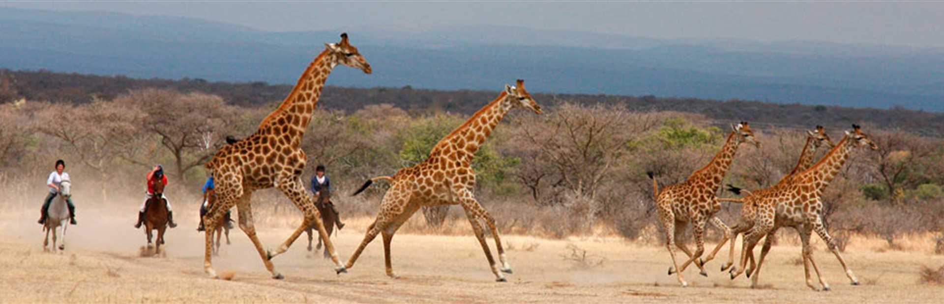 Waterberg Mountains