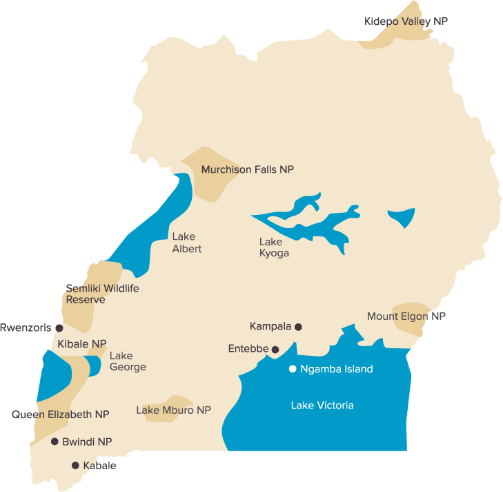 image-map